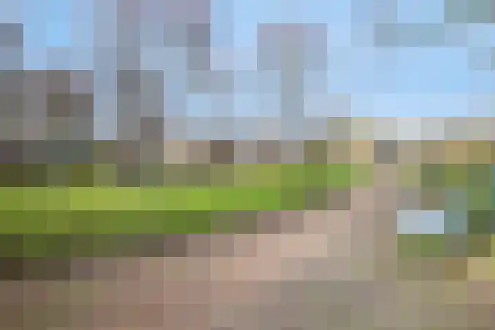 Volendamlaan 899 Den Haag thumbnail 30