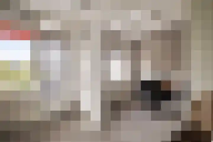 Volendamlaan 899 Den Haag thumbnail 4