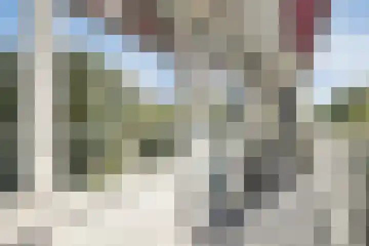 Volendamlaan 899 Den Haag thumbnail 5