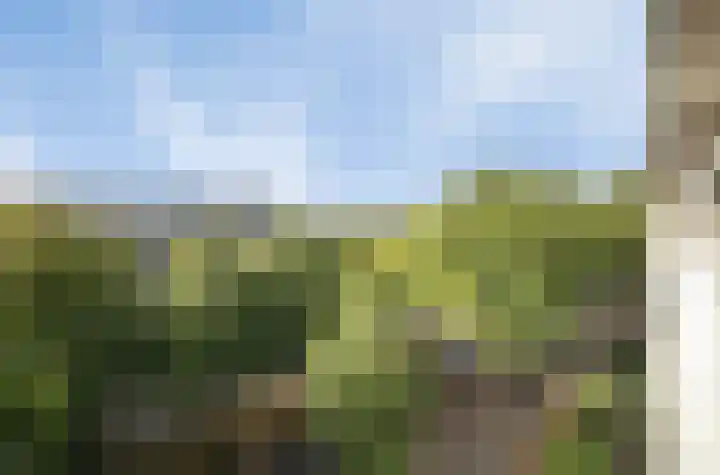 Volendamlaan 899 Den Haag thumbnail 6