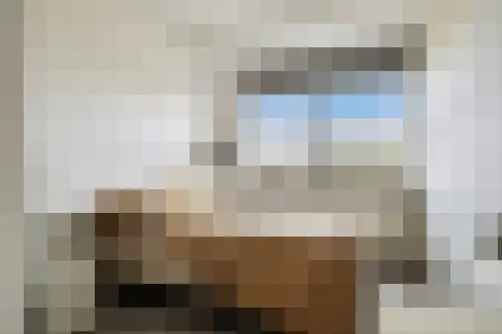 Volendamlaan 899 Den Haag thumbnail 8