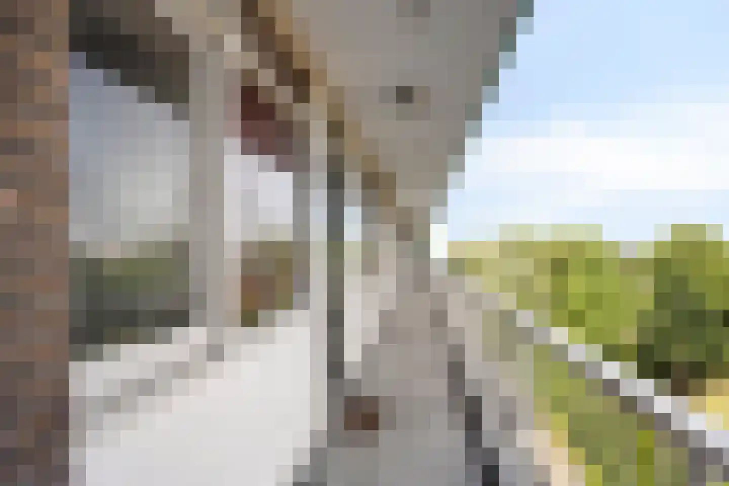 Volendamlaan 907 Den Haag thumbnail 14