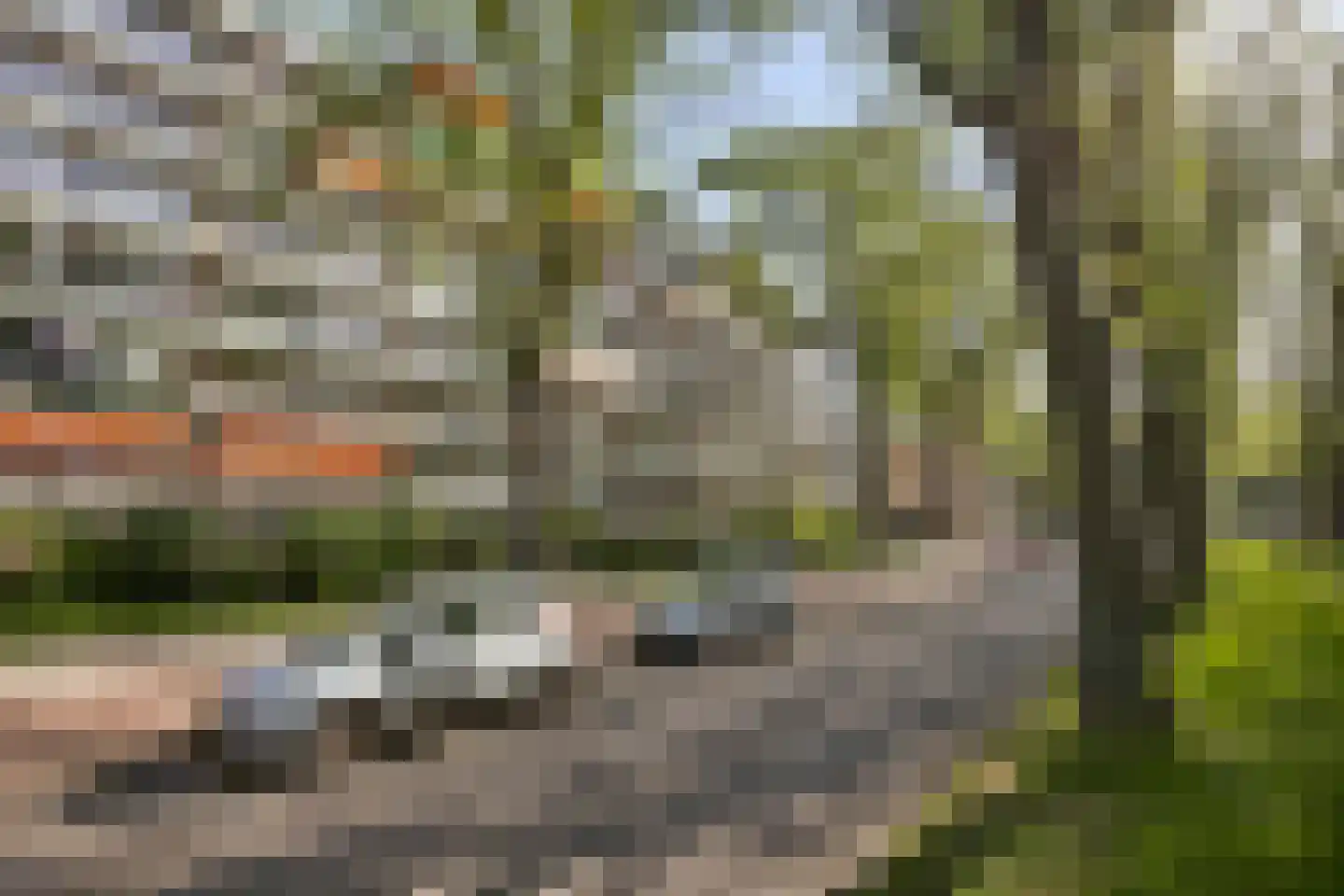 Volendamlaan 907 Den Haag thumbnail 34
