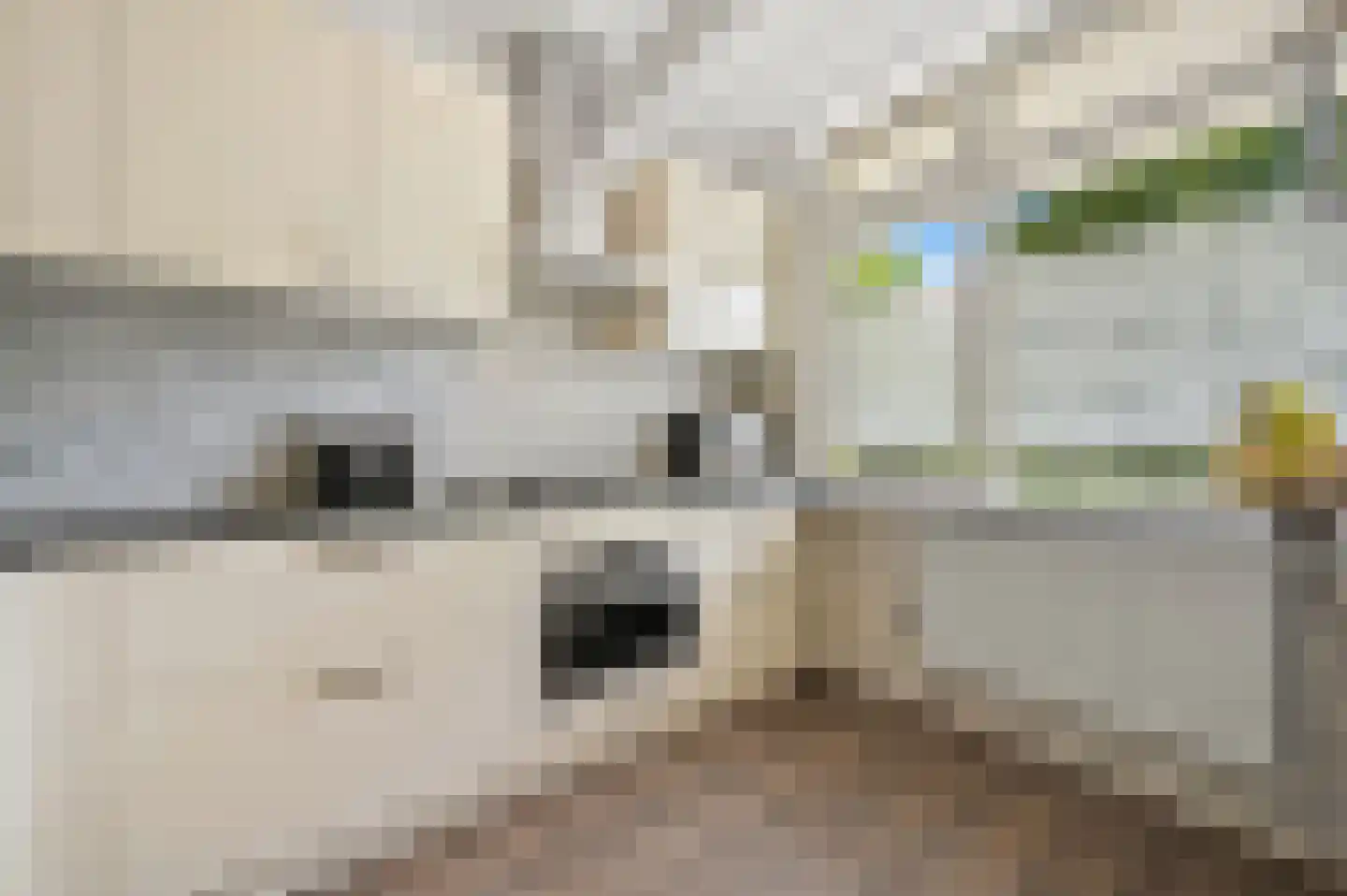 Volendamlaan 944 Den Haag thumbnail 17
