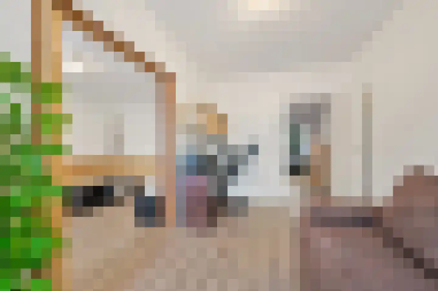 Volendamlaan 944 Den Haag thumbnail 6