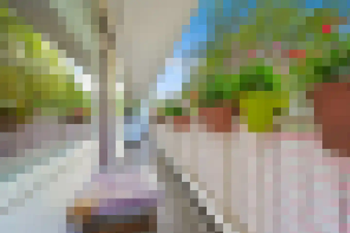 Volendamlaan 944 Den Haag thumbnail 9