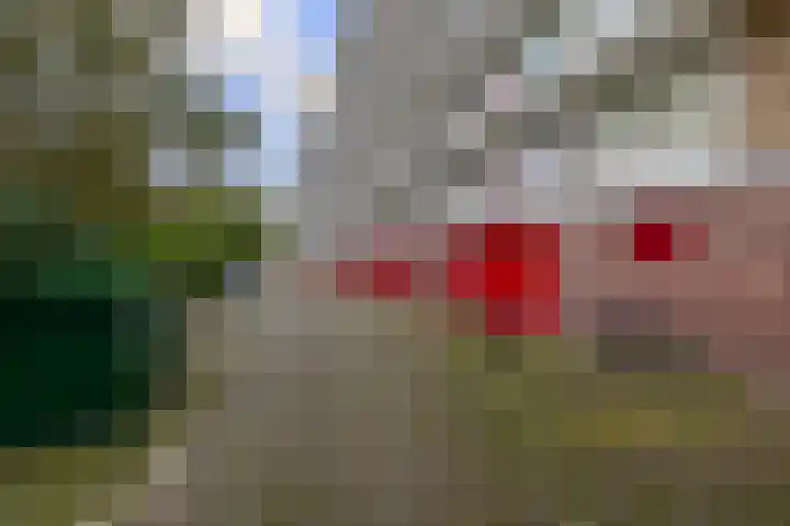 Volendamlaan 952 Den Haag thumbnail 26
