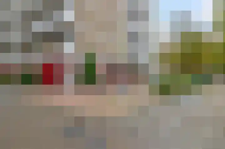 Volendamlaan 952 Den Haag thumbnail 29