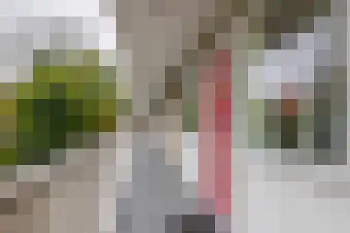 Volendamlaan 952 Den Haag thumbnail 7