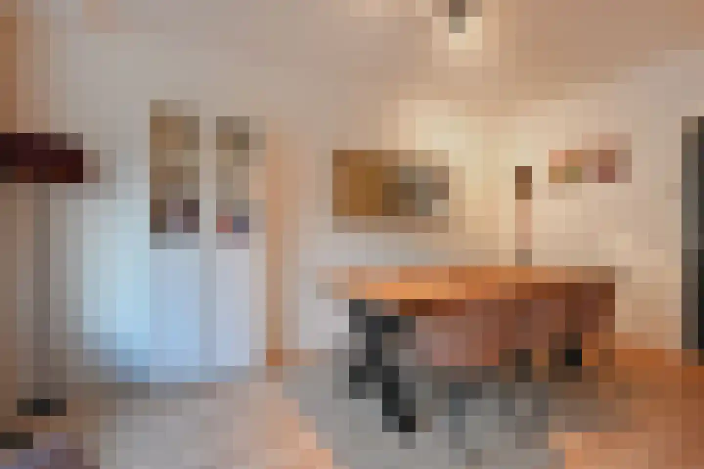 Volendamlaan 976 Den Haag thumbnail 14