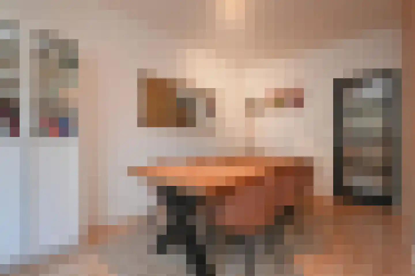Volendamlaan 976 Den Haag thumbnail 15