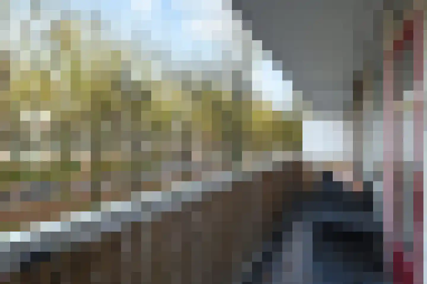 Volendamlaan 976 Den Haag thumbnail 25