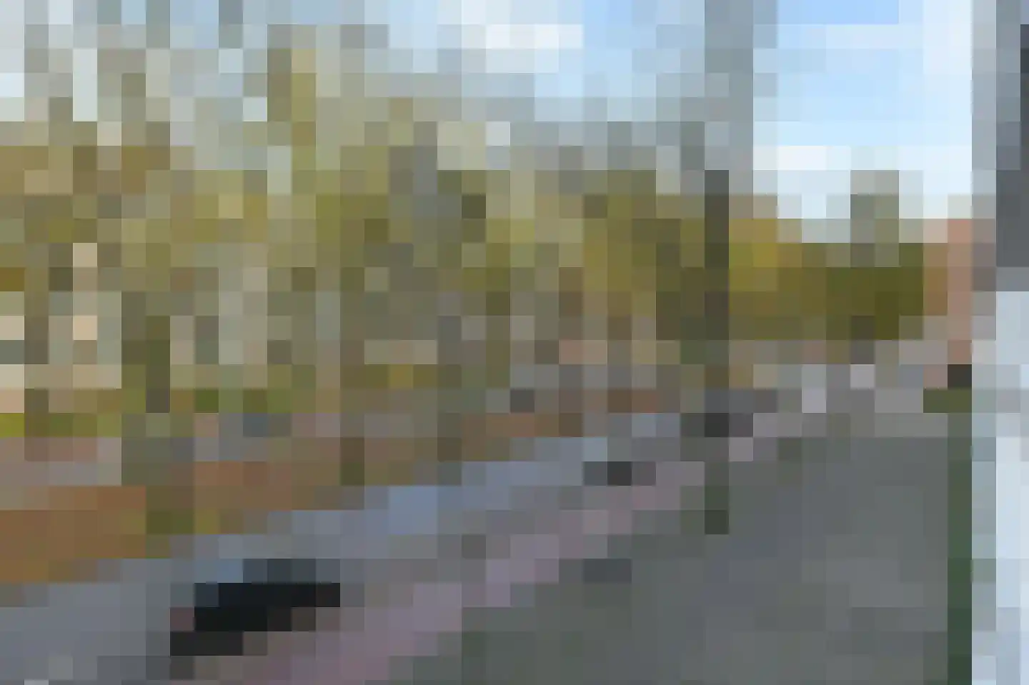 Volendamlaan 976 Den Haag thumbnail 27