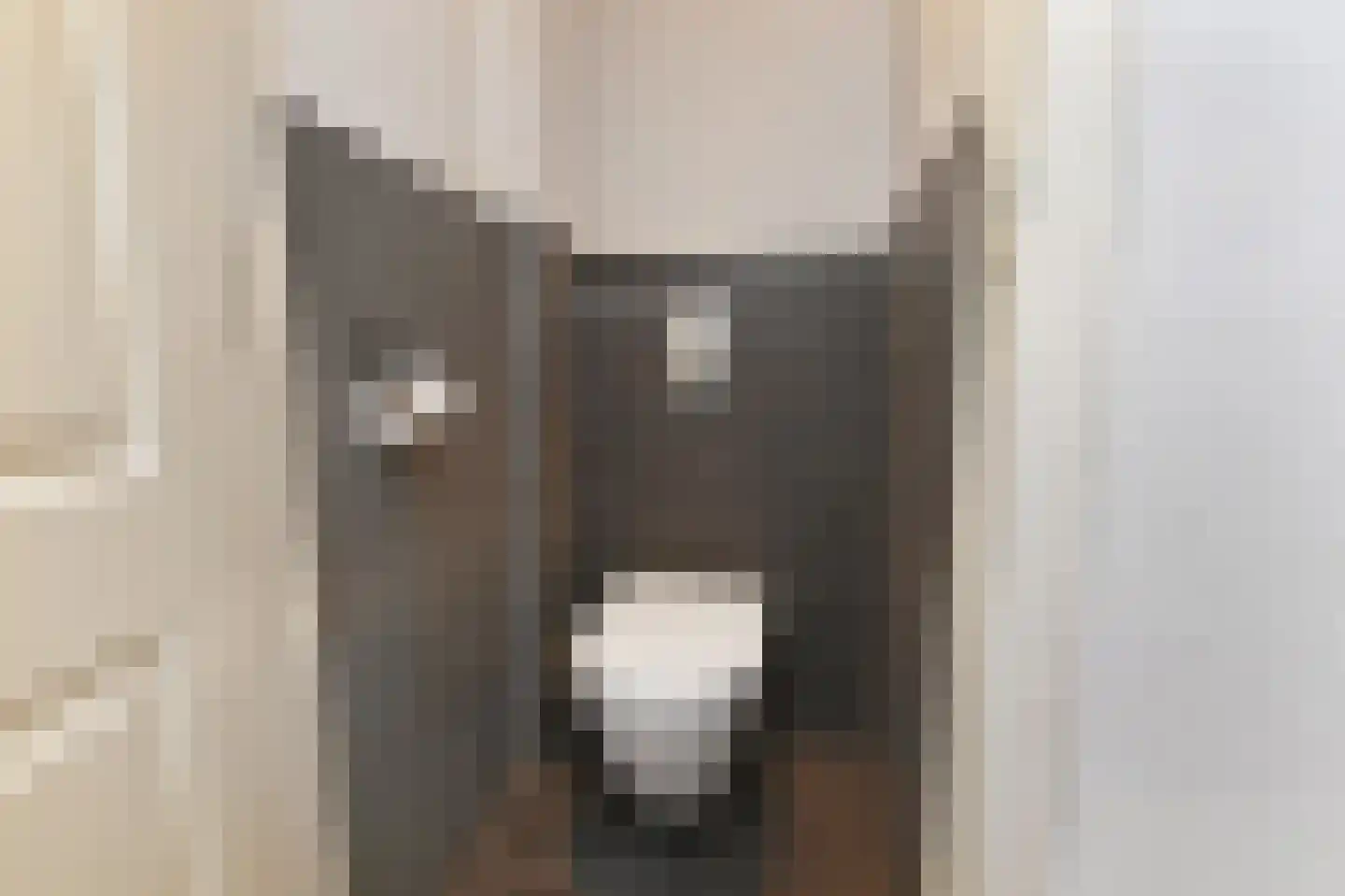 Volendamlaan 976 Den Haag thumbnail 5