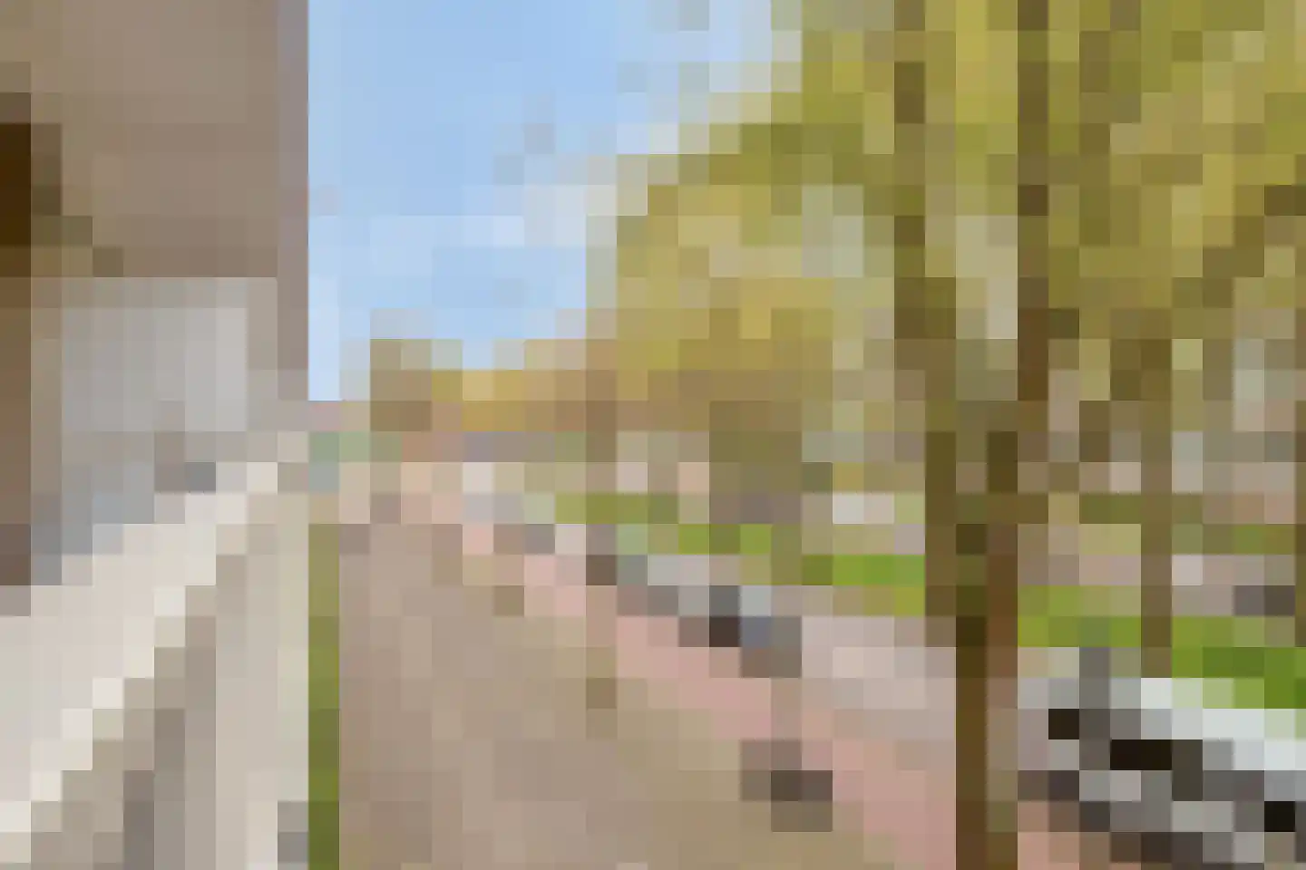 Volendamlaan 982 Den Haag thumbnail 18