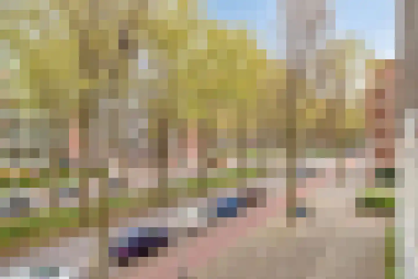 Volendamlaan 982 Den Haag thumbnail 19