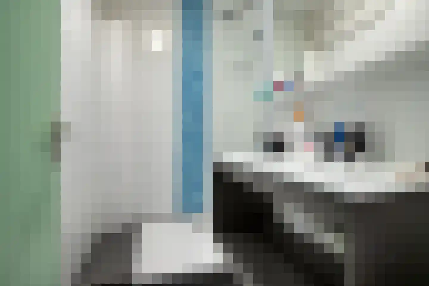 Volendamlaan 982 Den Haag thumbnail 8
