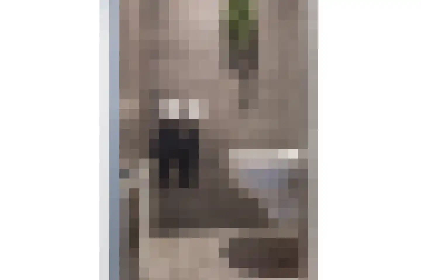 Volendammerpad 3 Edam thumbnail 16