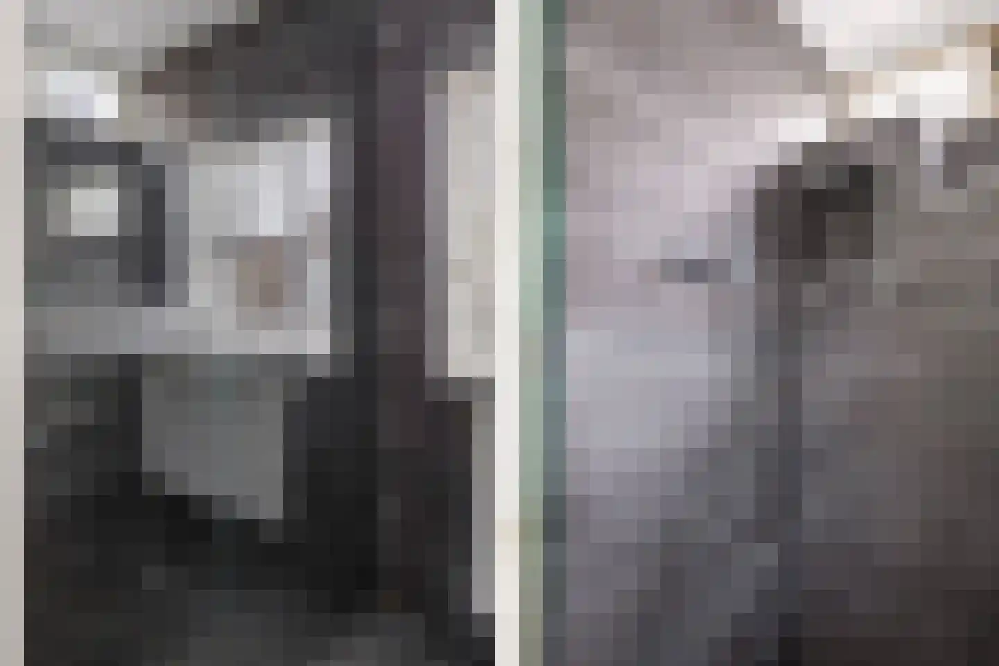 Volendammerpad 3 Edam thumbnail 24