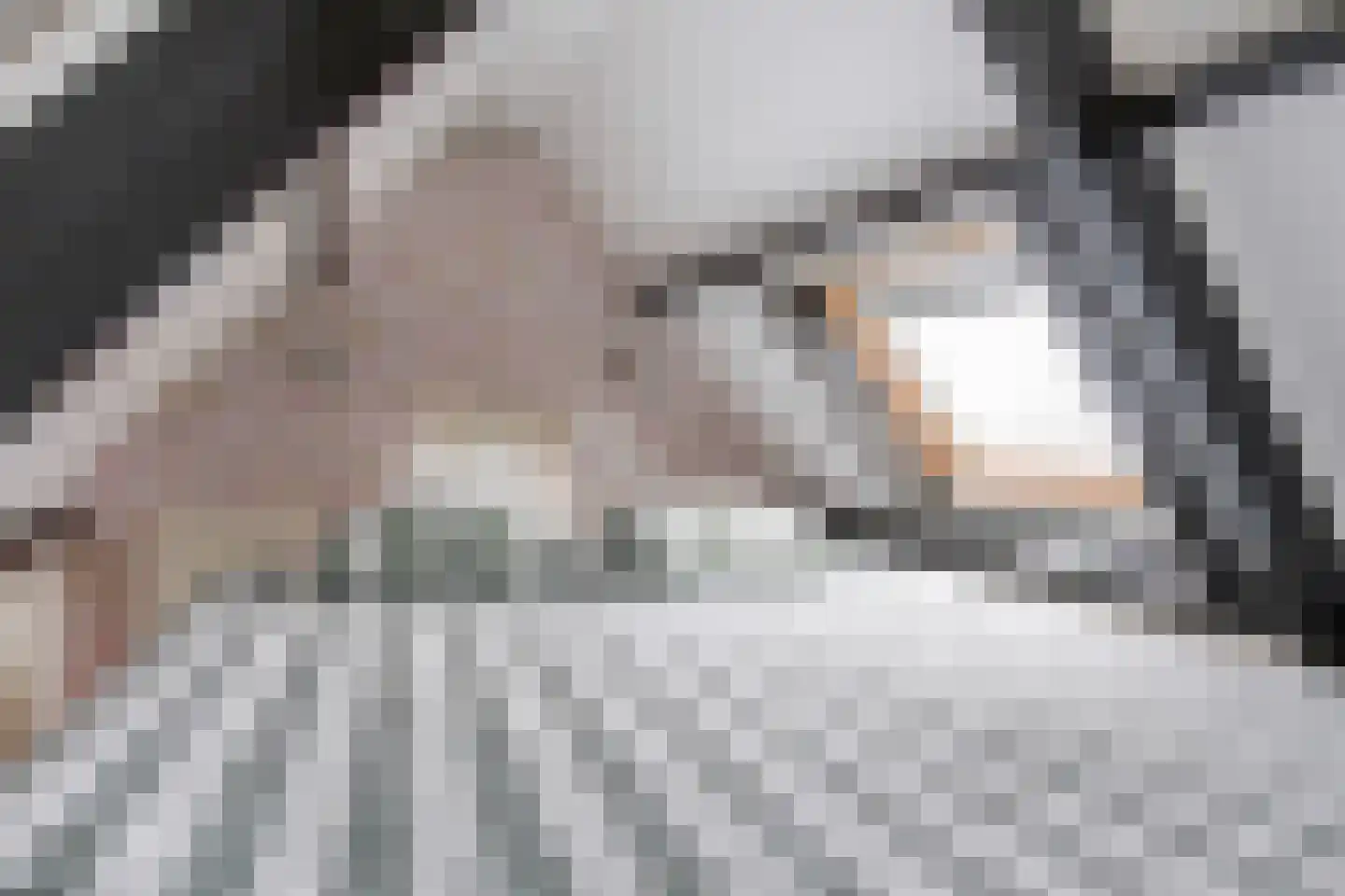 Volendammerpad 3 Edam thumbnail 28