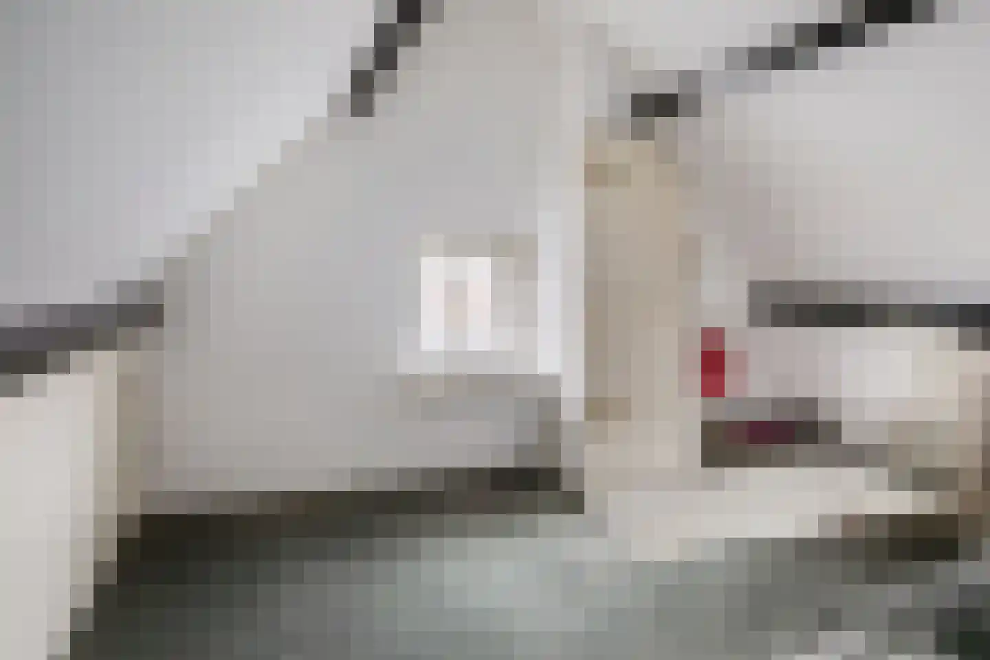 Volendammerpad 3 Edam thumbnail 29