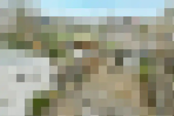 Volendammerweg 66 Amsterdam thumbnail 13