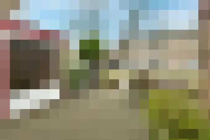 Volendammerweg 66 Amsterdam thumbnail 19