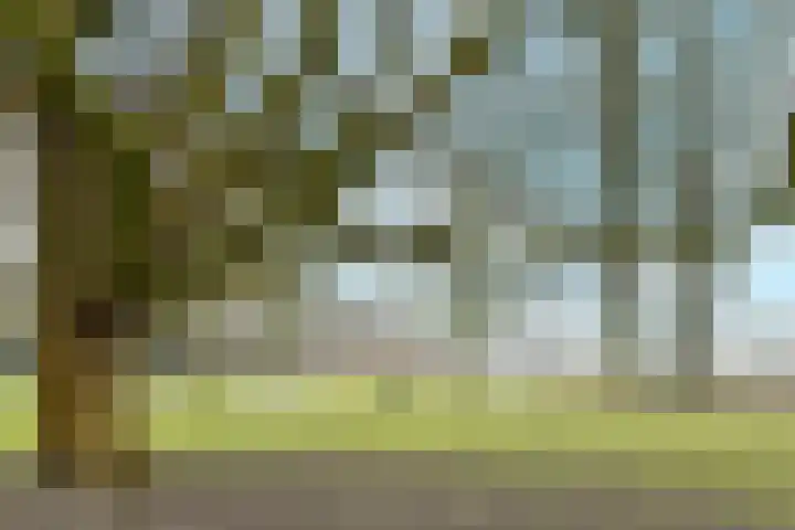 Volendammerweg 66 Amsterdam thumbnail 21