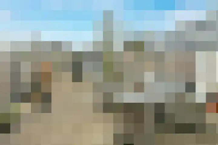 Volendammerweg 66 Amsterdam thumbnail 6
