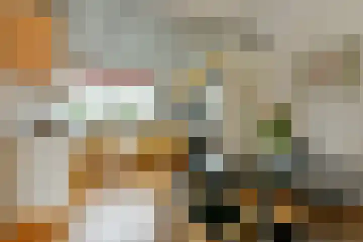 Volendammerweg 66 Amsterdam thumbnail 8