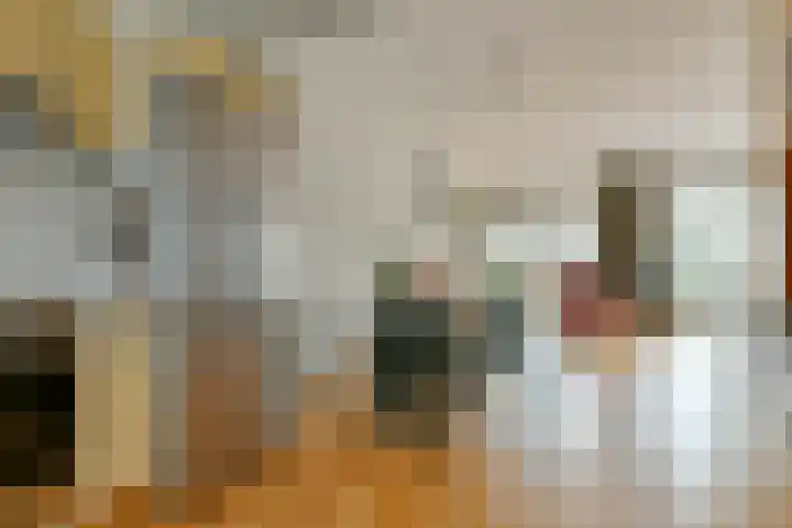 Volendammerweg 66 Amsterdam thumbnail 9