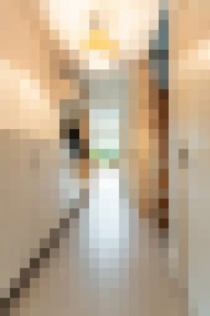 Volendammerweg 72 Amsterdam thumbnail 13