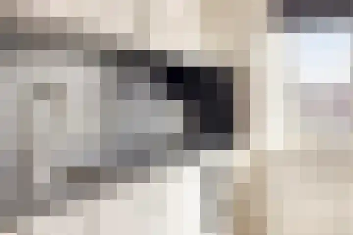 Volendamstraat 20 Emmeloord thumbnail 18