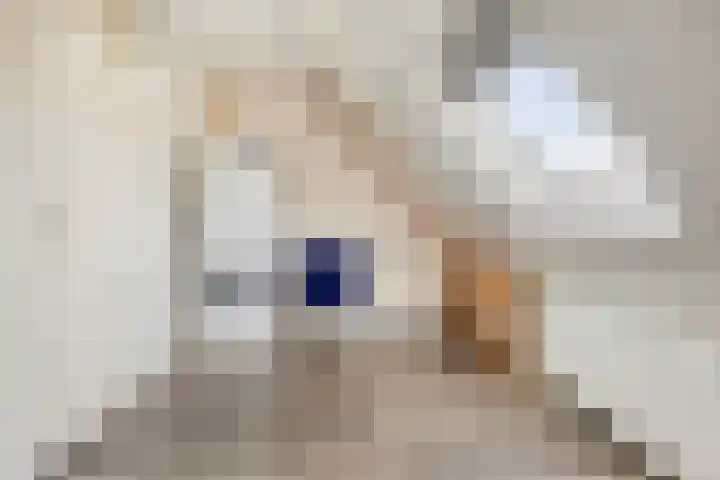 Volendamstraat 20 Emmeloord thumbnail 36
