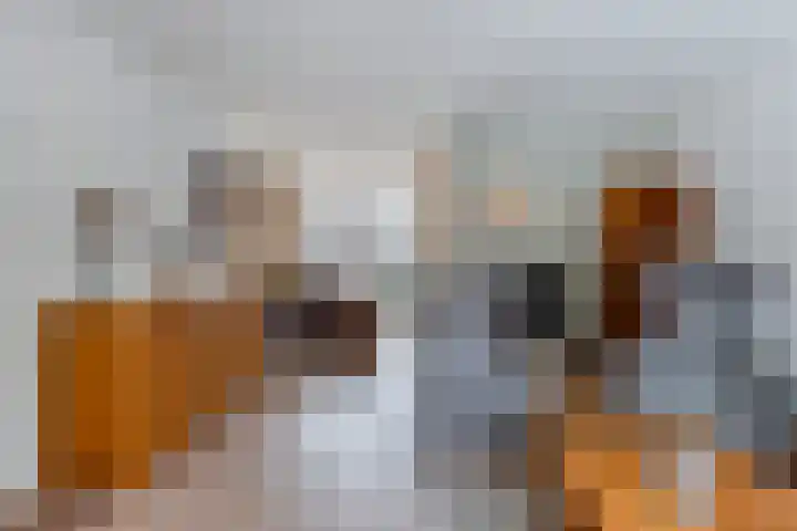 Volendamstraat 3 Emmeloord thumbnail 11