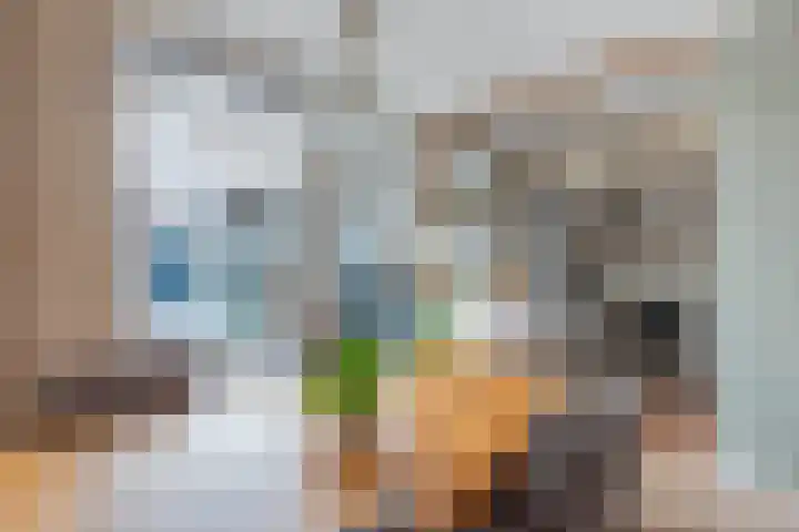 Volendamstraat 3 Emmeloord thumbnail 15