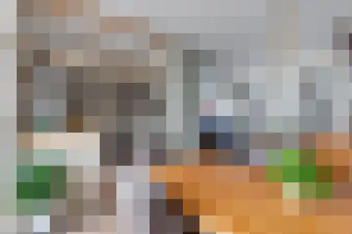 Volendamstraat 3 Emmeloord thumbnail 16