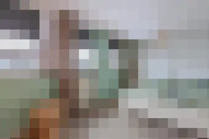 Volendamstraat 3 Emmeloord thumbnail 28
