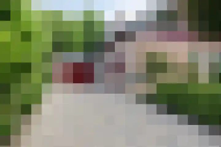 Volendamstraat 52 Emmeloord thumbnail 51