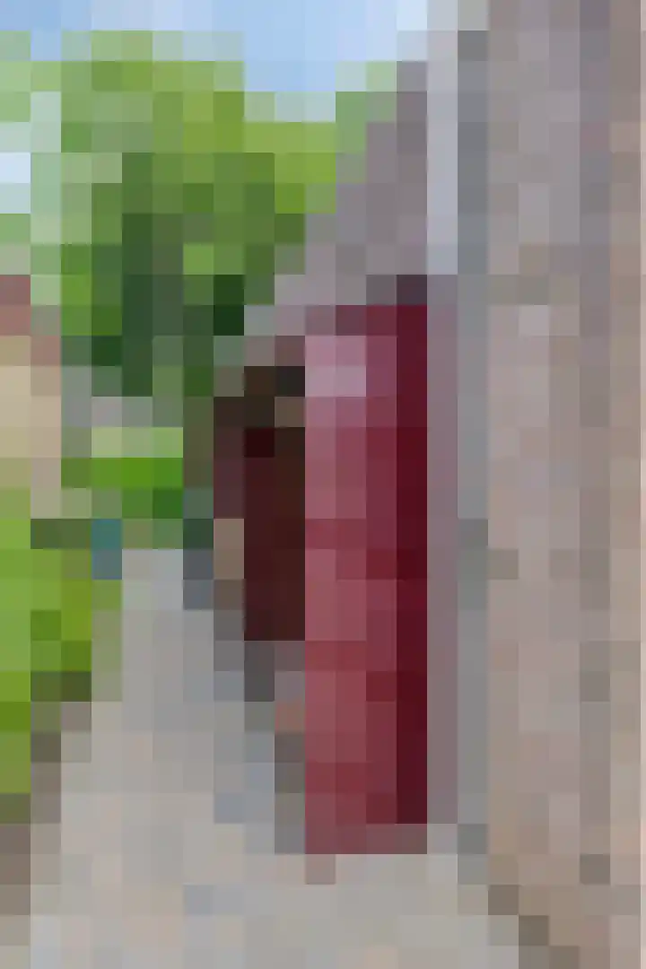Volendamstraat 52 Emmeloord thumbnail 52