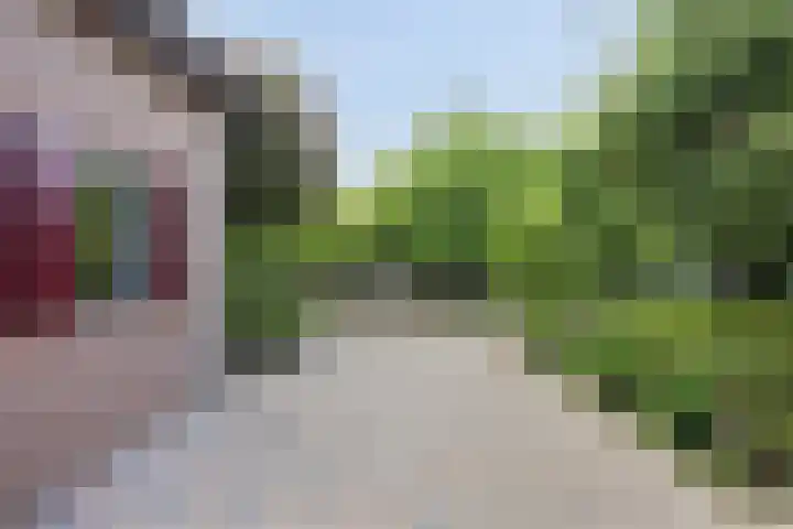 Volendamstraat 52 Emmeloord thumbnail 53