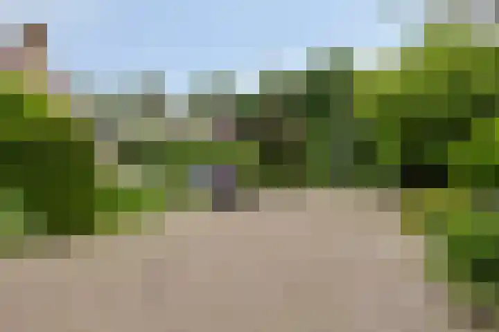 Volendamstraat 52 Emmeloord thumbnail 56