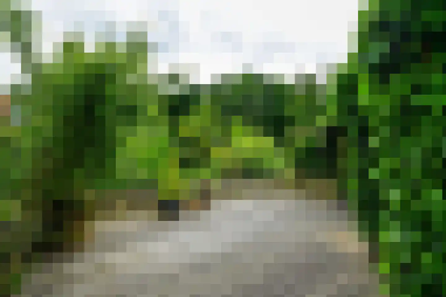 Volendamstraat 54 Arnhem thumbnail 31