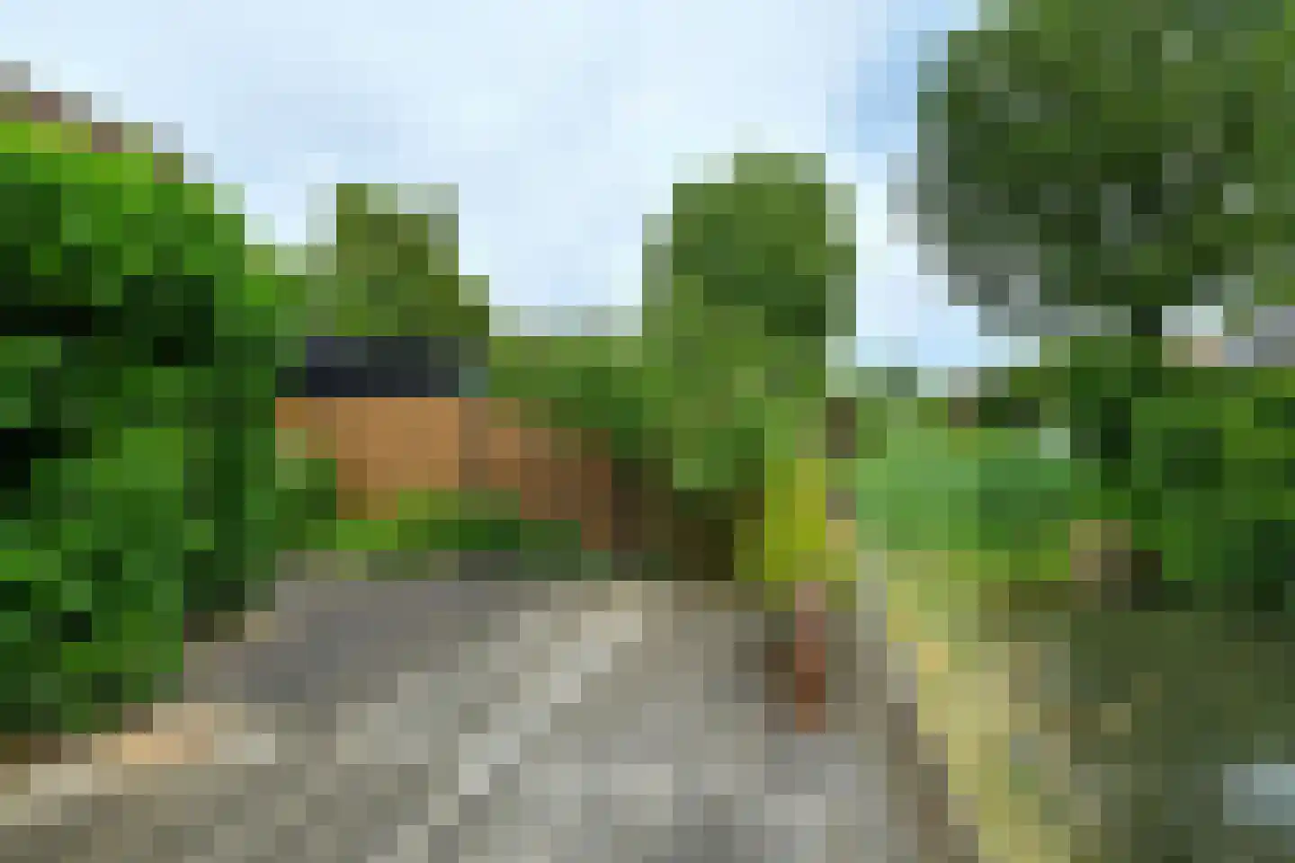Volendamstraat 54 Arnhem thumbnail 32