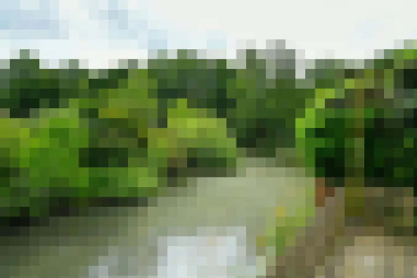 Volendamstraat 54 Arnhem thumbnail 36