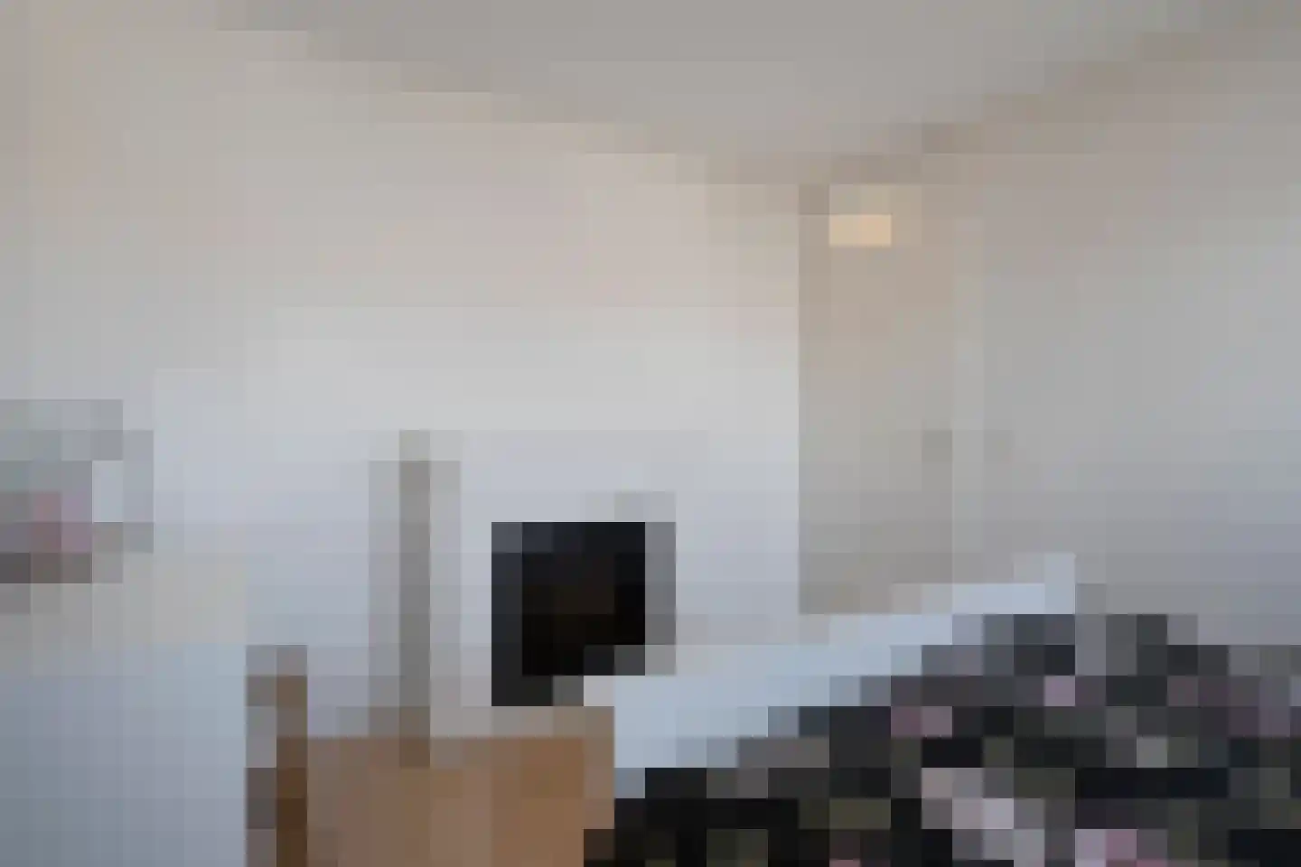 Volendamstraat 7 Emmeloord thumbnail 25