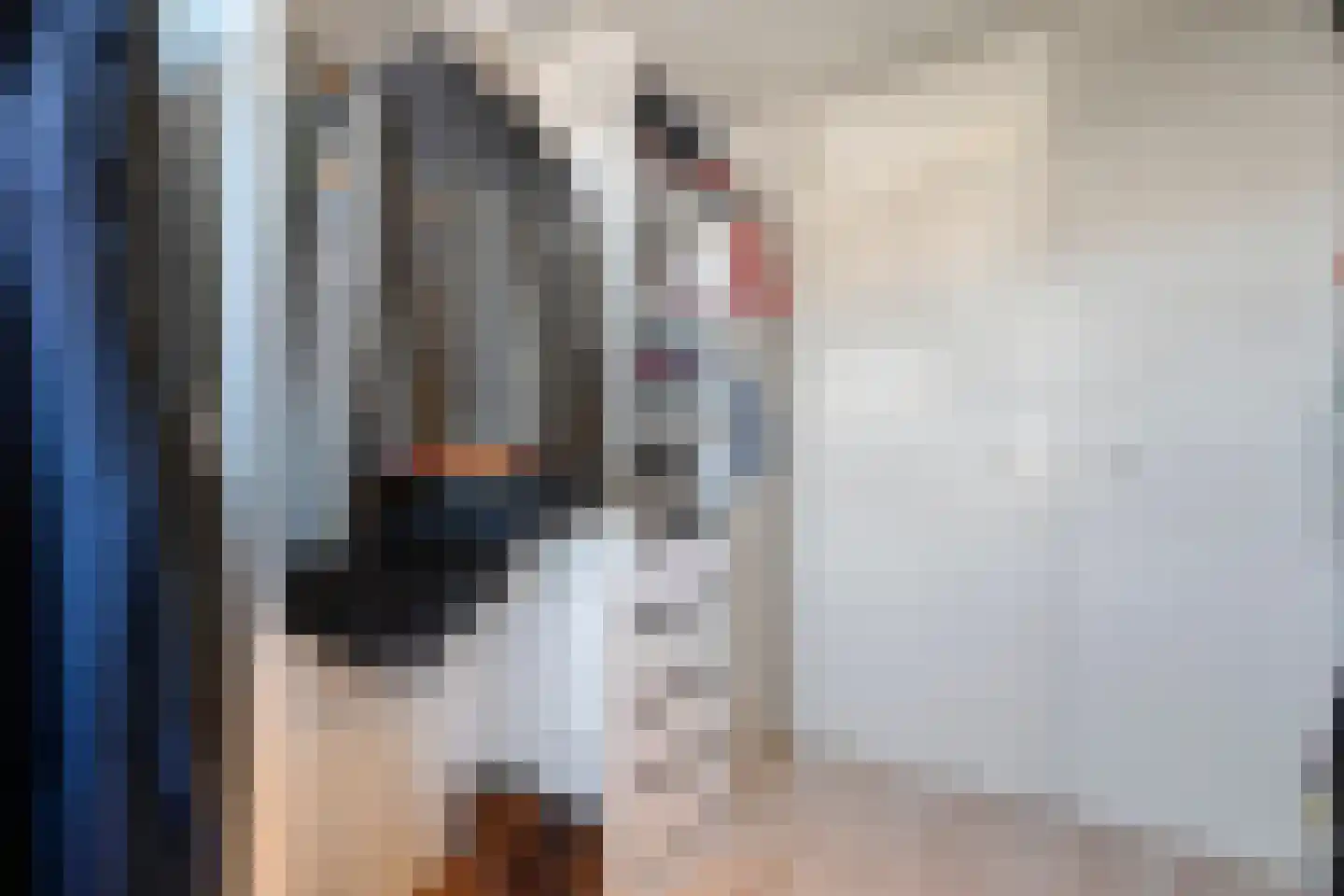 Volendamstraat 7 Emmeloord thumbnail 27