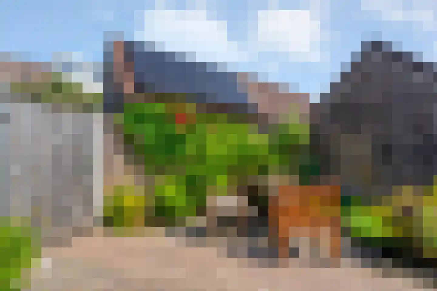Volendamstraat 7 Emmeloord thumbnail 39
