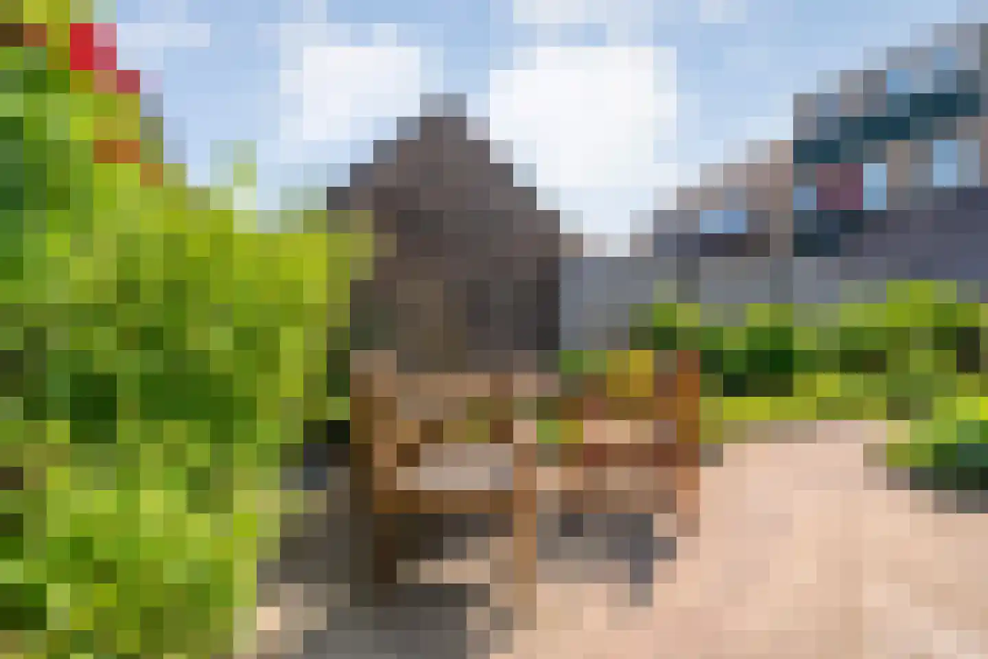 Volendamstraat 7 Emmeloord thumbnail 40