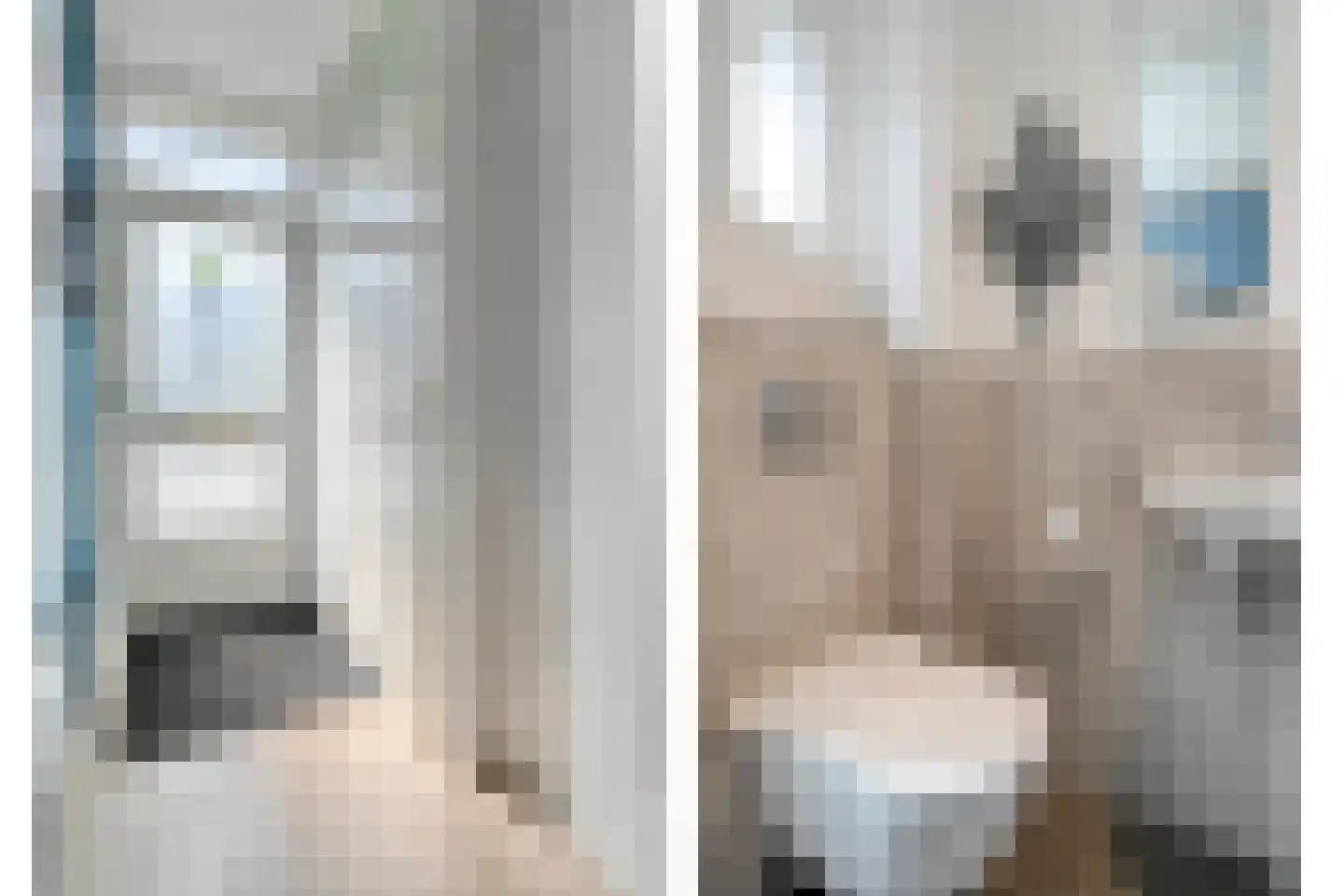 Volendamstraat 7 Emmeloord thumbnail 9